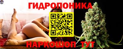 кокс Нарткала
