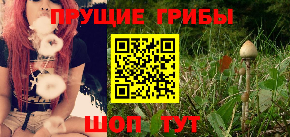 Тольятти  Галлюциногенные грибы мицелий  Вход с VPN 